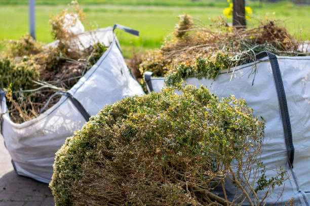 Best Residential Junk Removal  in Belen, NM