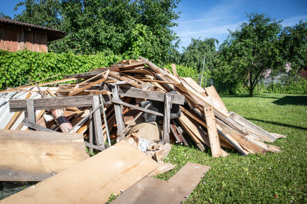 Best Carpet Removal and Disposal  in Belen, NM